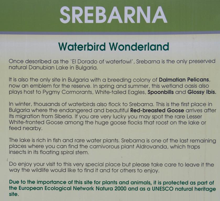 Srebarna Lakeview Apartments Srebŭrna Exterior foto